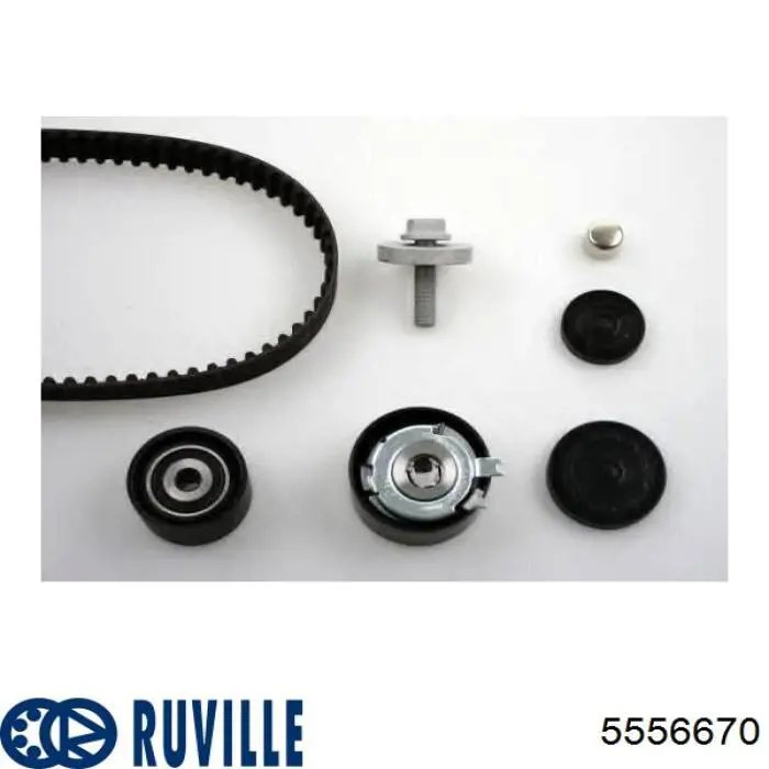 Kit correa de distribución Renault Megane 2 LM0, LM1