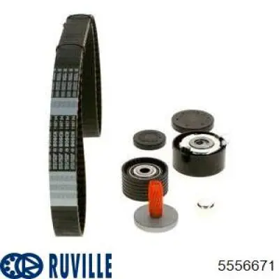 Kit correa de distribución Renault Megane 2 LM0, LM1