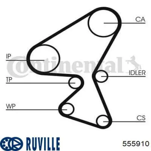 555910 Ruville correa distribucion