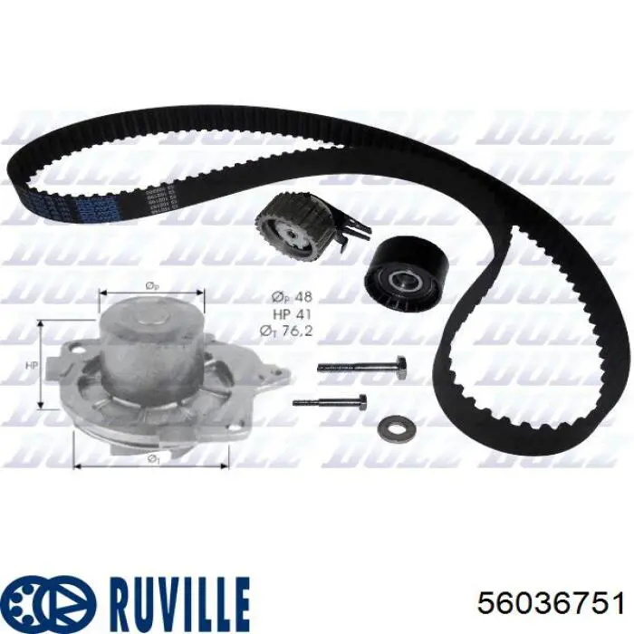 56036751 Ruville correa distribucion