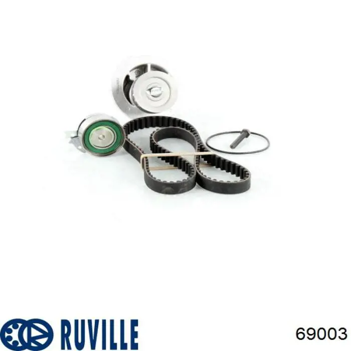 69003 Ruville bomba de agua