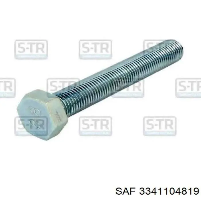 Bulón delantero de la ballesta trasera SAF 3341104819 precio, desde 22,01 EUR