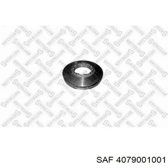 Disco de freno trasero SAF 4079001004 precio, desde 134,24 EUR