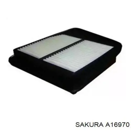 A16970 Sakura