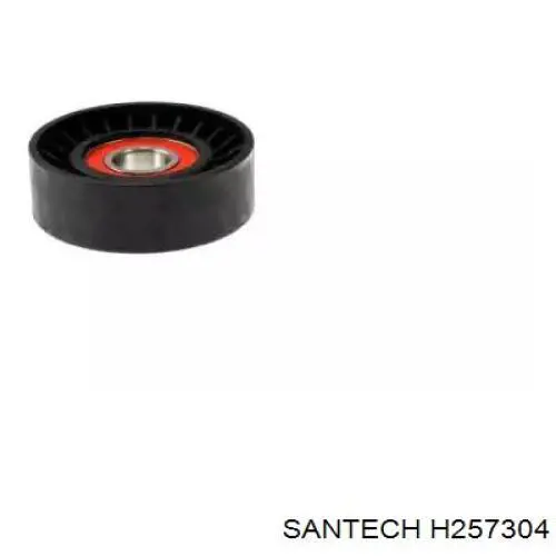 H257304 Santech