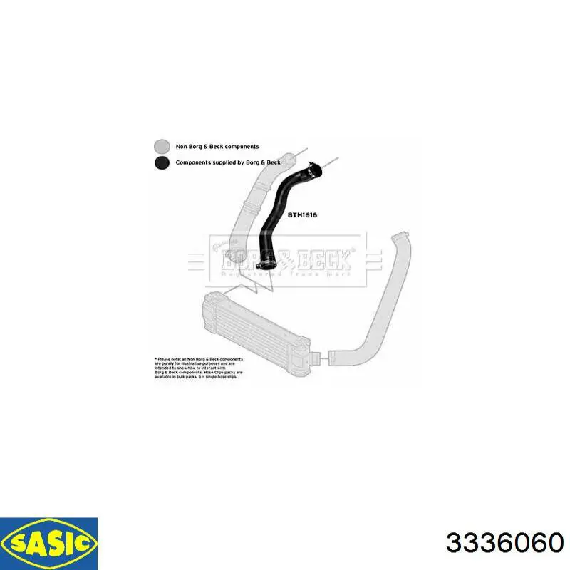FS23648 DP Group Manguera del intercooler