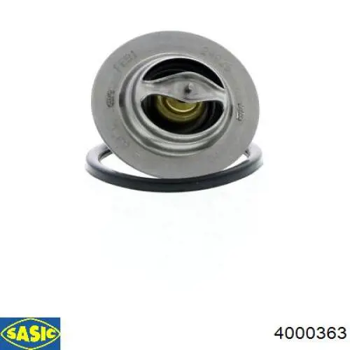 Termostato, refrigerante Renault Laguna 2 BG0, BG1