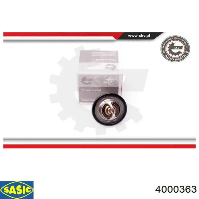 Termostato, refrigerante Renault Laguna 2 BG0, BG1