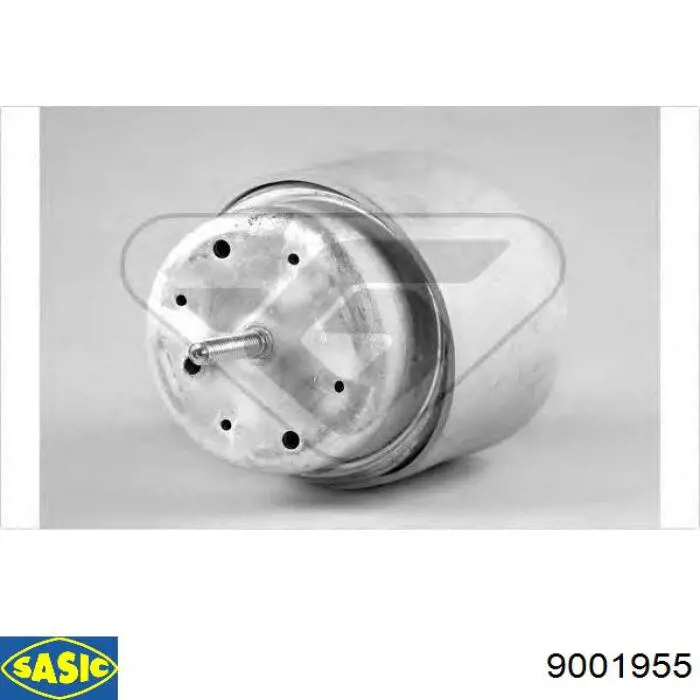 Soporte elástico, suspensión del motor, Izquierda / Derecha Cautex 460905