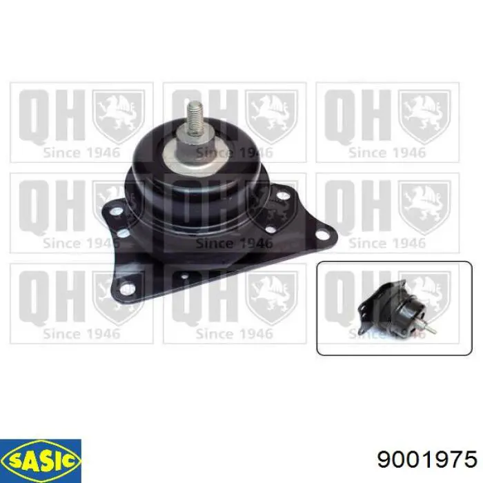 Comprar 36875 Mapco Soporte de motor derecho