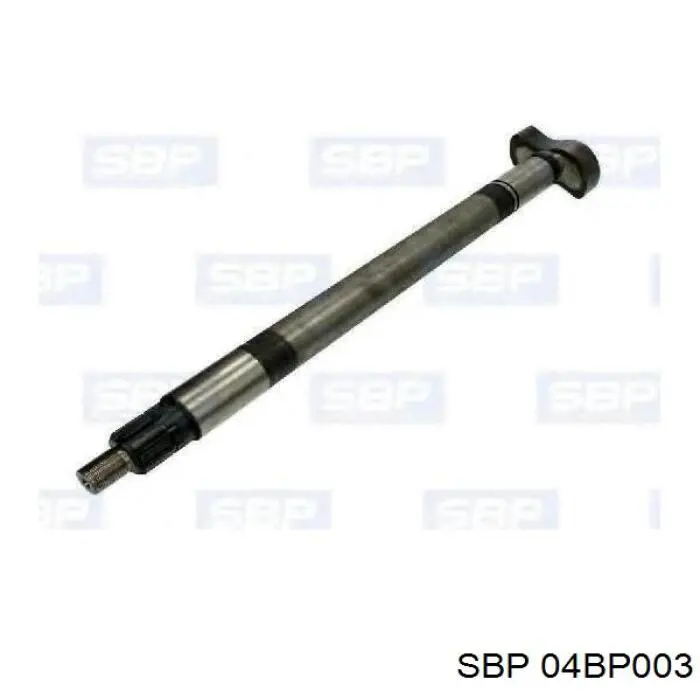 04BP003 SBP