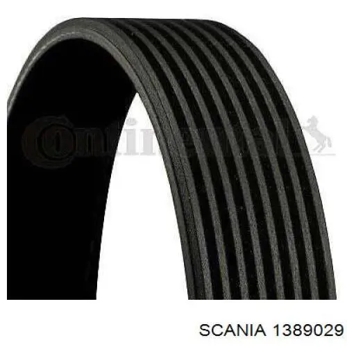 1389029 Scania Correa poly v
