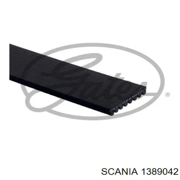 1389042 Scania correa trapezoidal