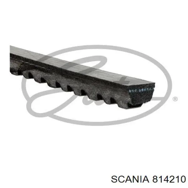 Comprar 814210 Scania Correa trapezoidal