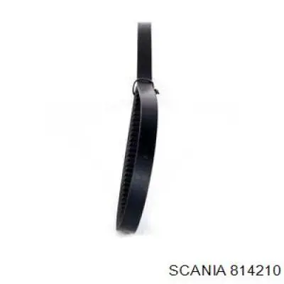 Correa de alternador 814210 Scania