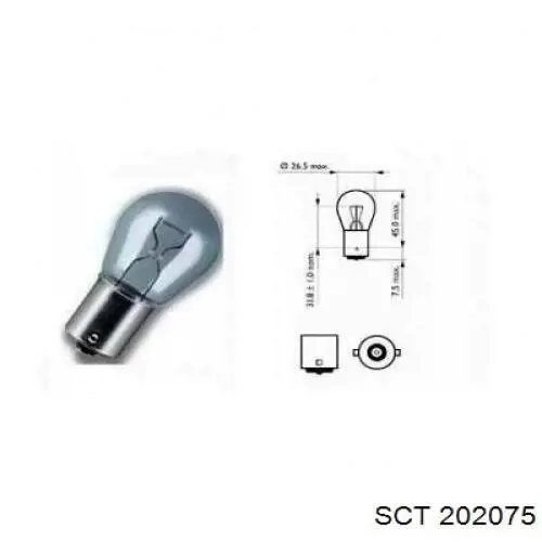 202075 SCT