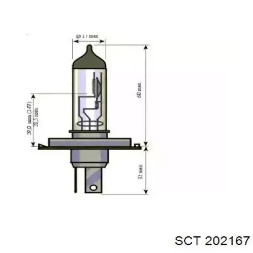 202167 SCT bombilla halógena