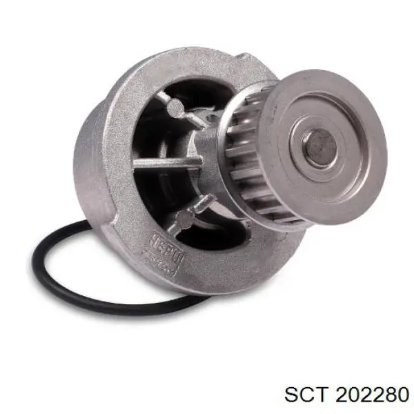202280 SCT