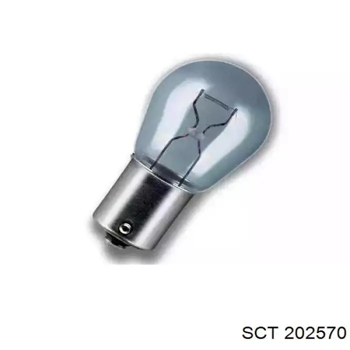 202570 SCT