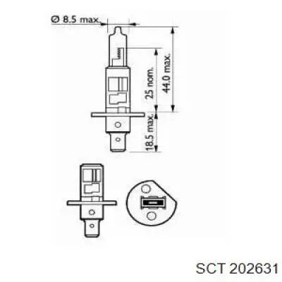 202631 SCT