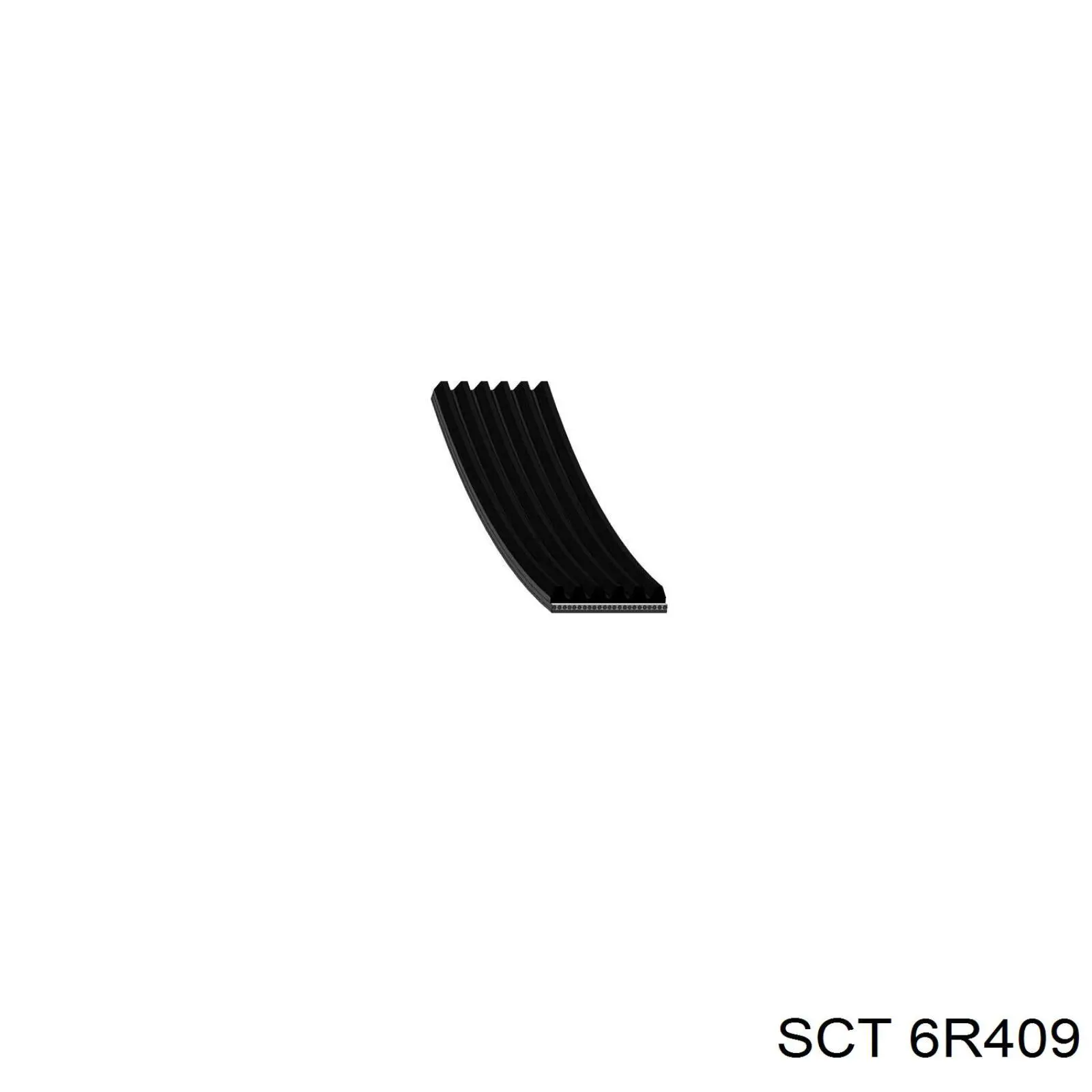 6R409 SCT correa trapezoidal