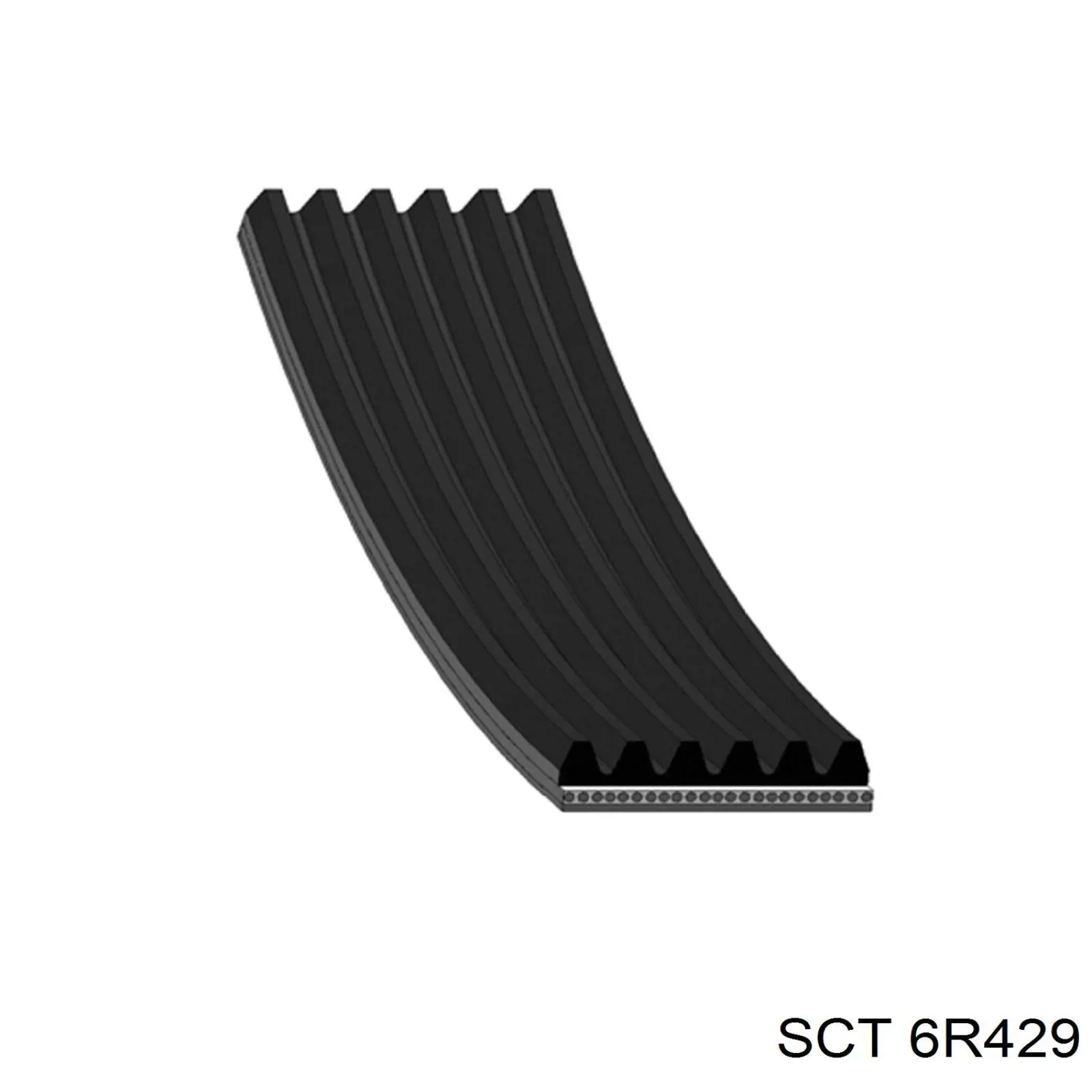 6R429 SCT correa trapezoidal