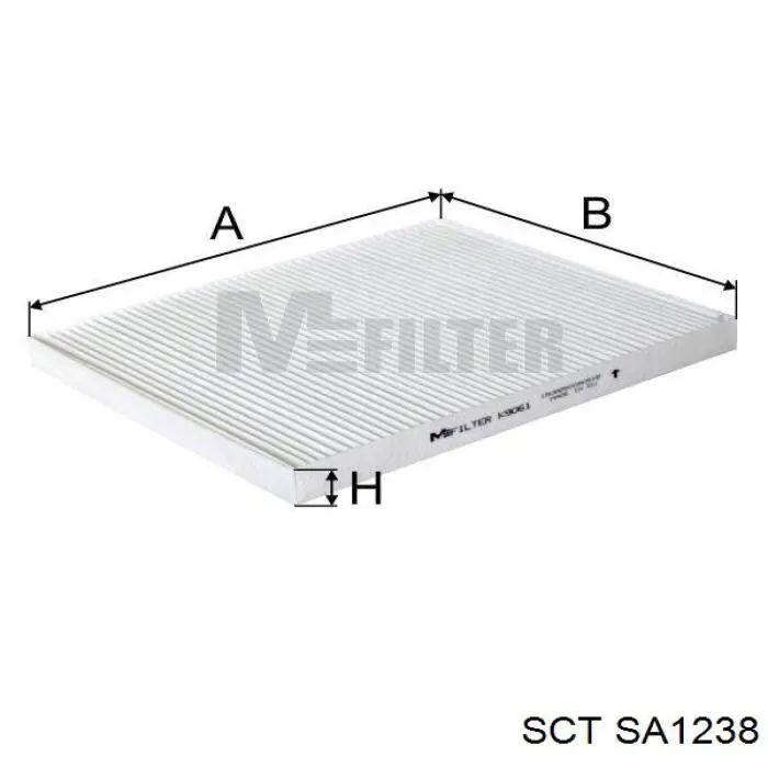 SA1238 SCT Filtro antipolen