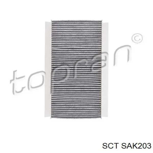 SAK203 SCT Filtro antipolen