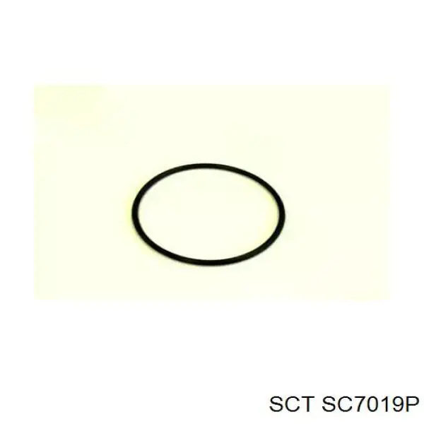 SC7019P SCT filtro combustible