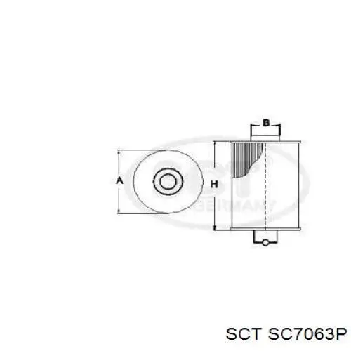 Filtro de combustible SC7063P SCT