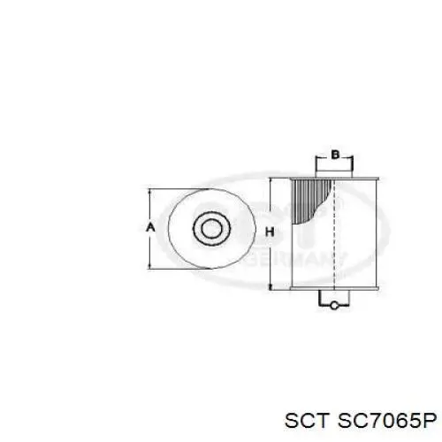 SC7065P SCT filtro combustible