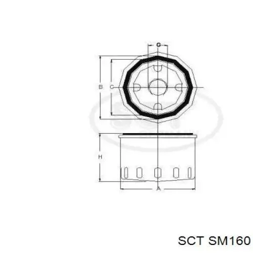 SM160 SCT Filtro aceite