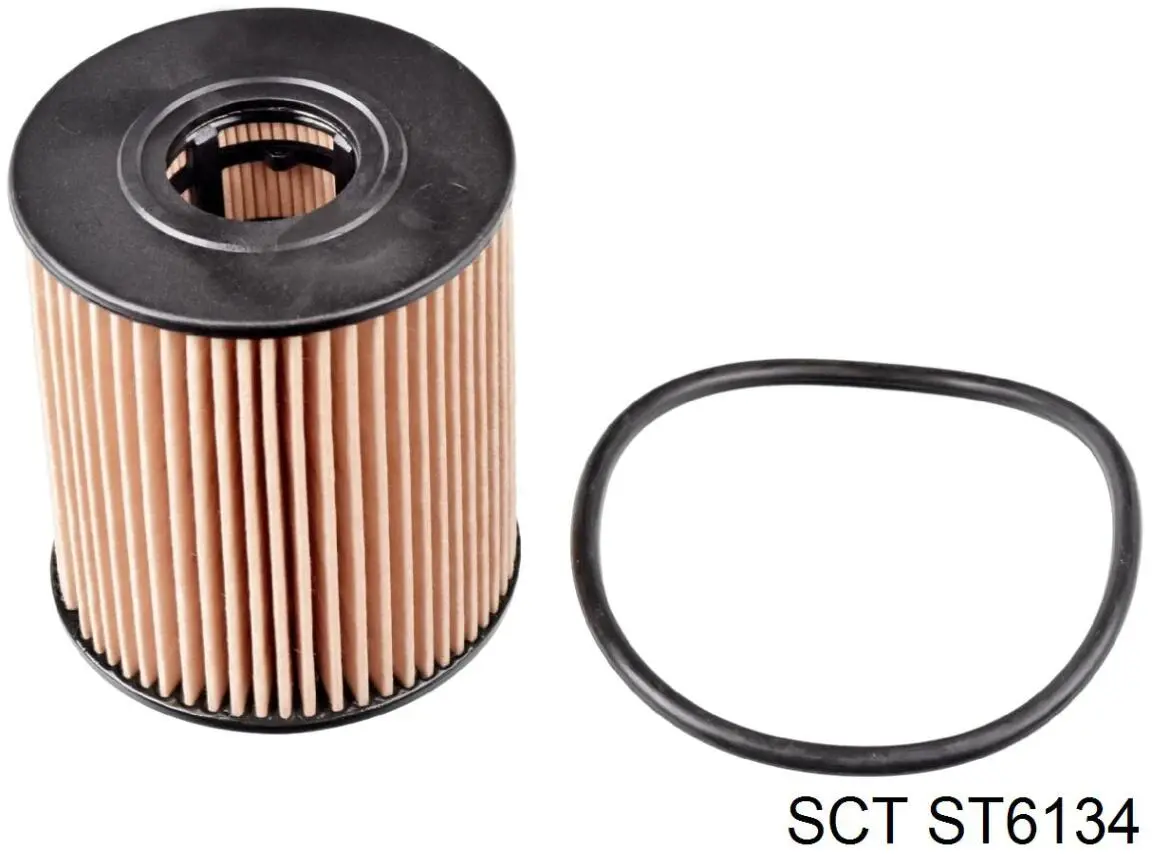 Filtro combustible SCT ST6134 precio, desde 32,00 EUR