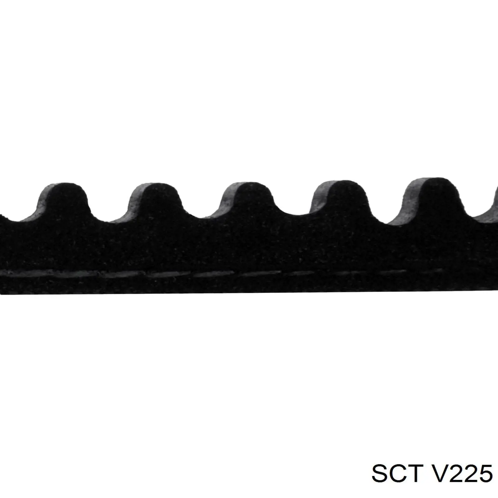 V225 SCT correa trapezoidal