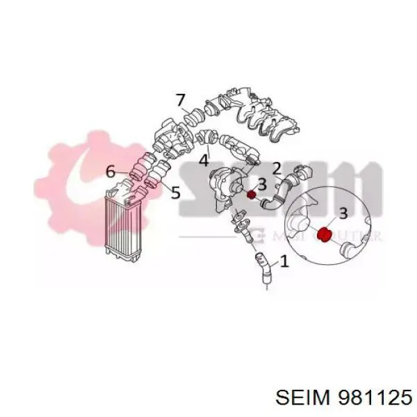55668 Asam Junta de turbina, inserto flexible
