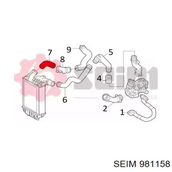 981158 Seim tubo flexible de aire de sobrealimentación derecho