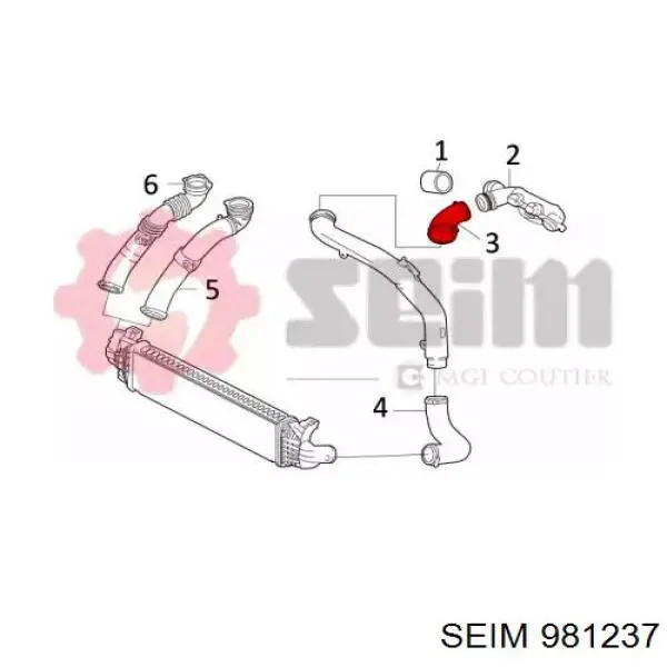 086787 Cautex Manguera del intercooler