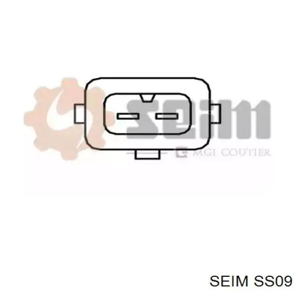 SS09 Seim sensor, temperatura del aire de admisión