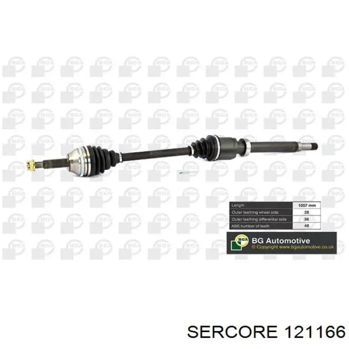 Junta homocinética exterior trasera derecha Ford Transit (V347/8)