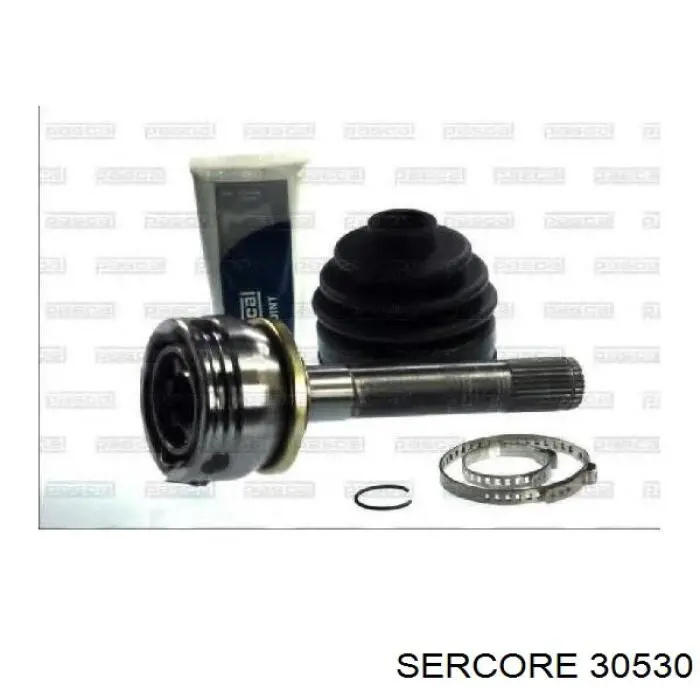 30530 Sercore