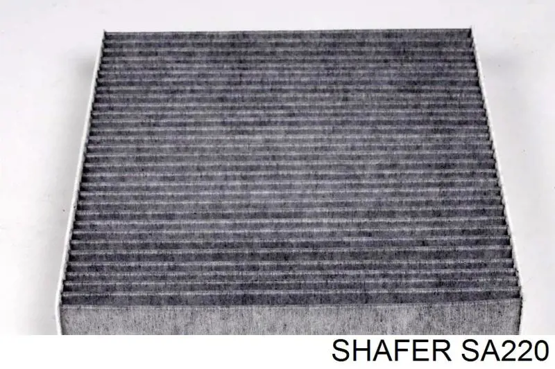 SA220 Shafer Filtro antipolen