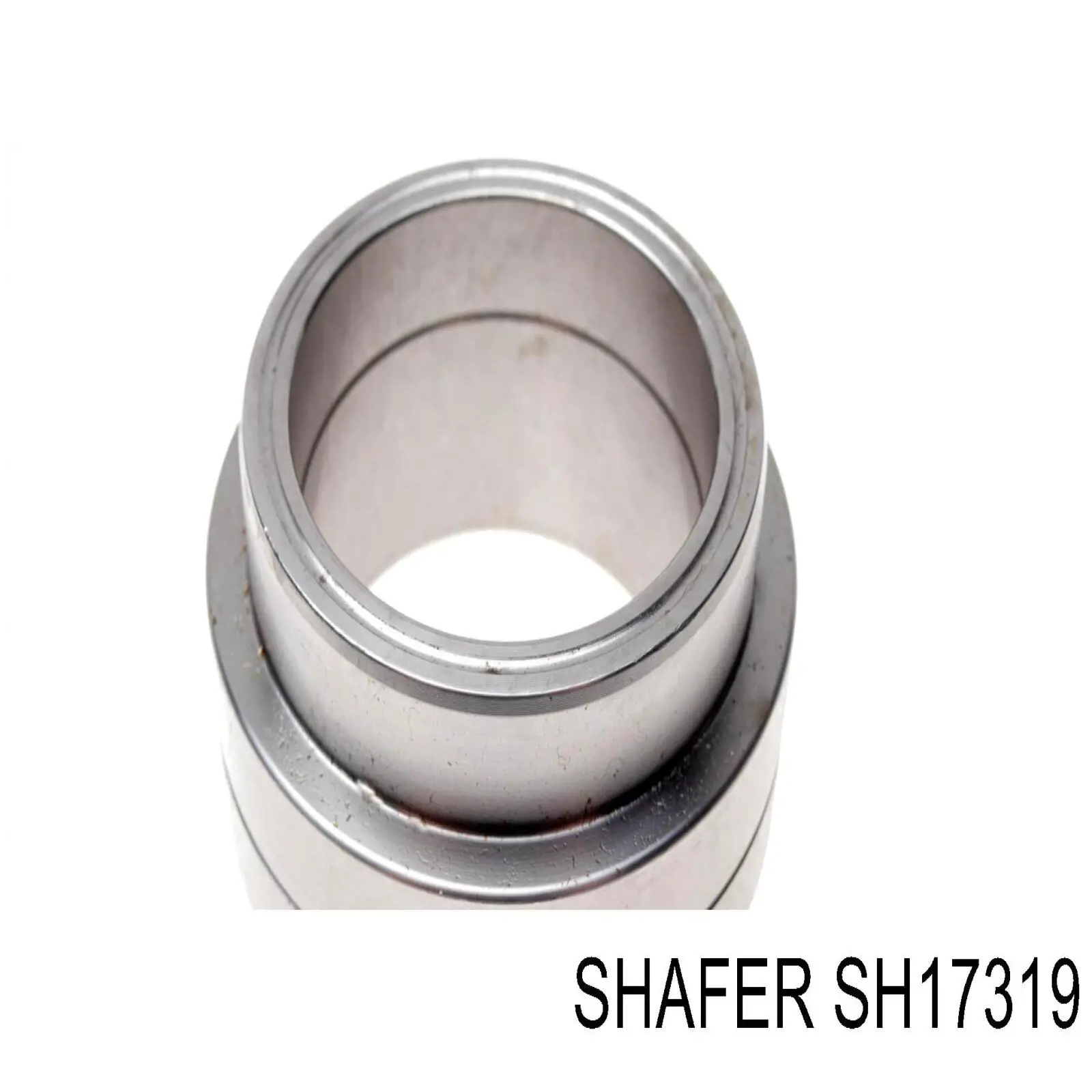 SH17319 Shafer cojinete de rueda trasero