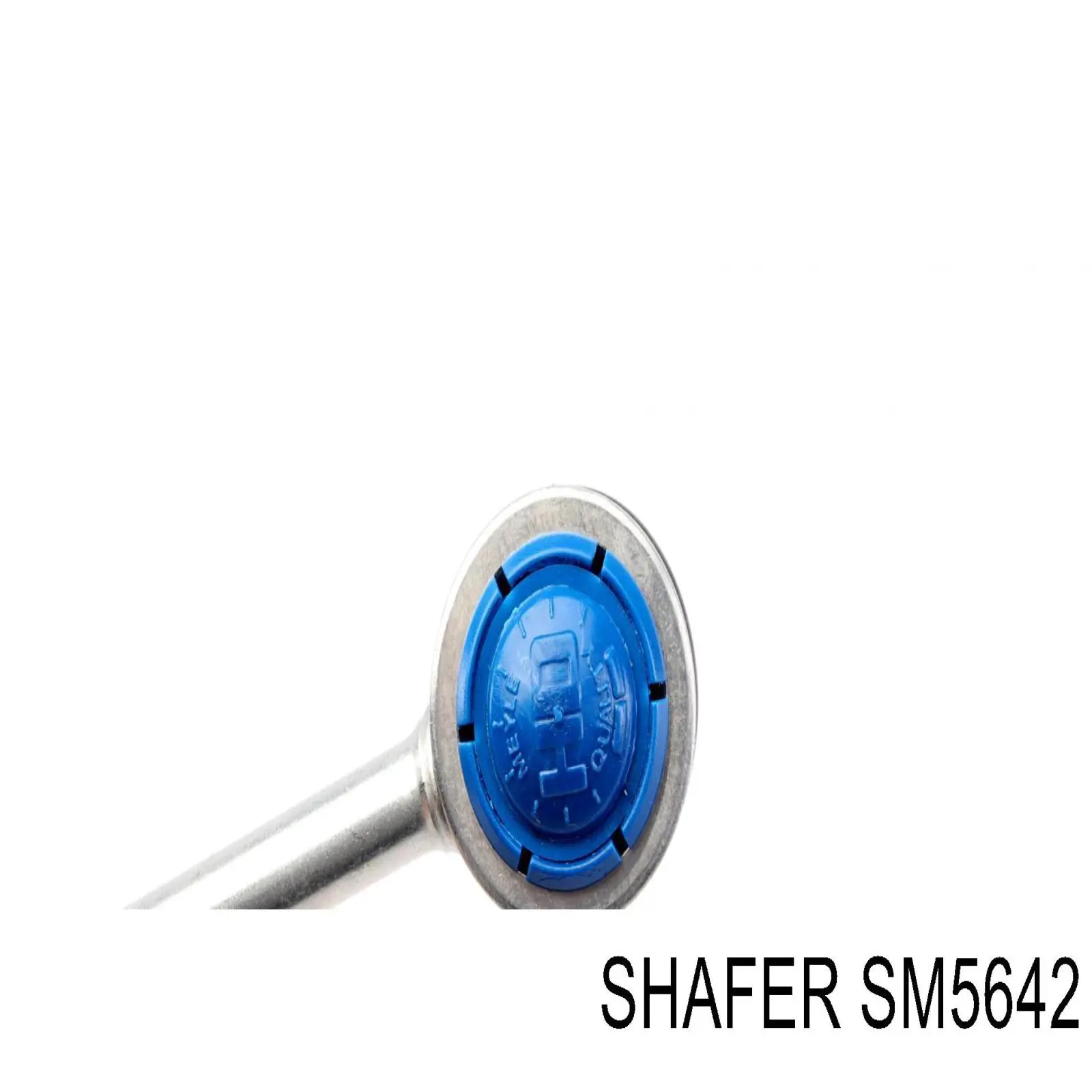 Soporte de barra estabilizadora delantera Renault Laguna 1 B56, 556