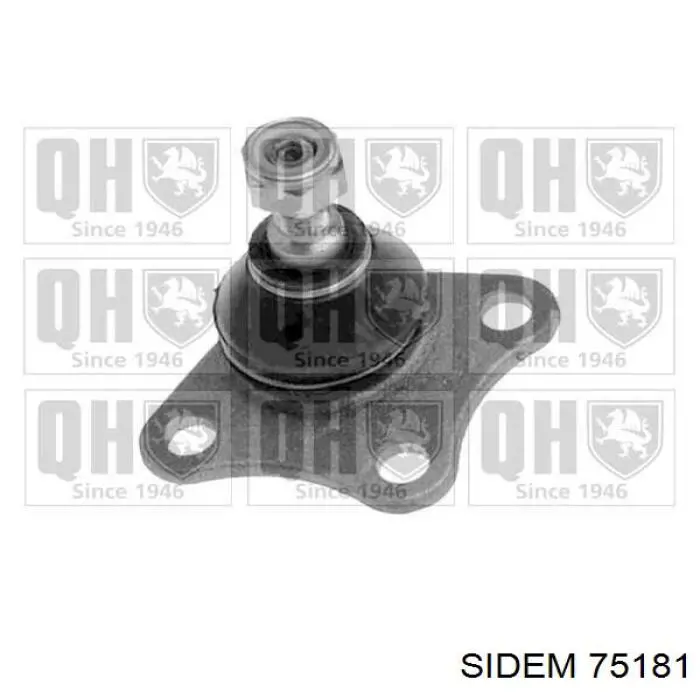 Rótula inferior de suspensión Sidem 75181 precio, desde 19,69 EUR