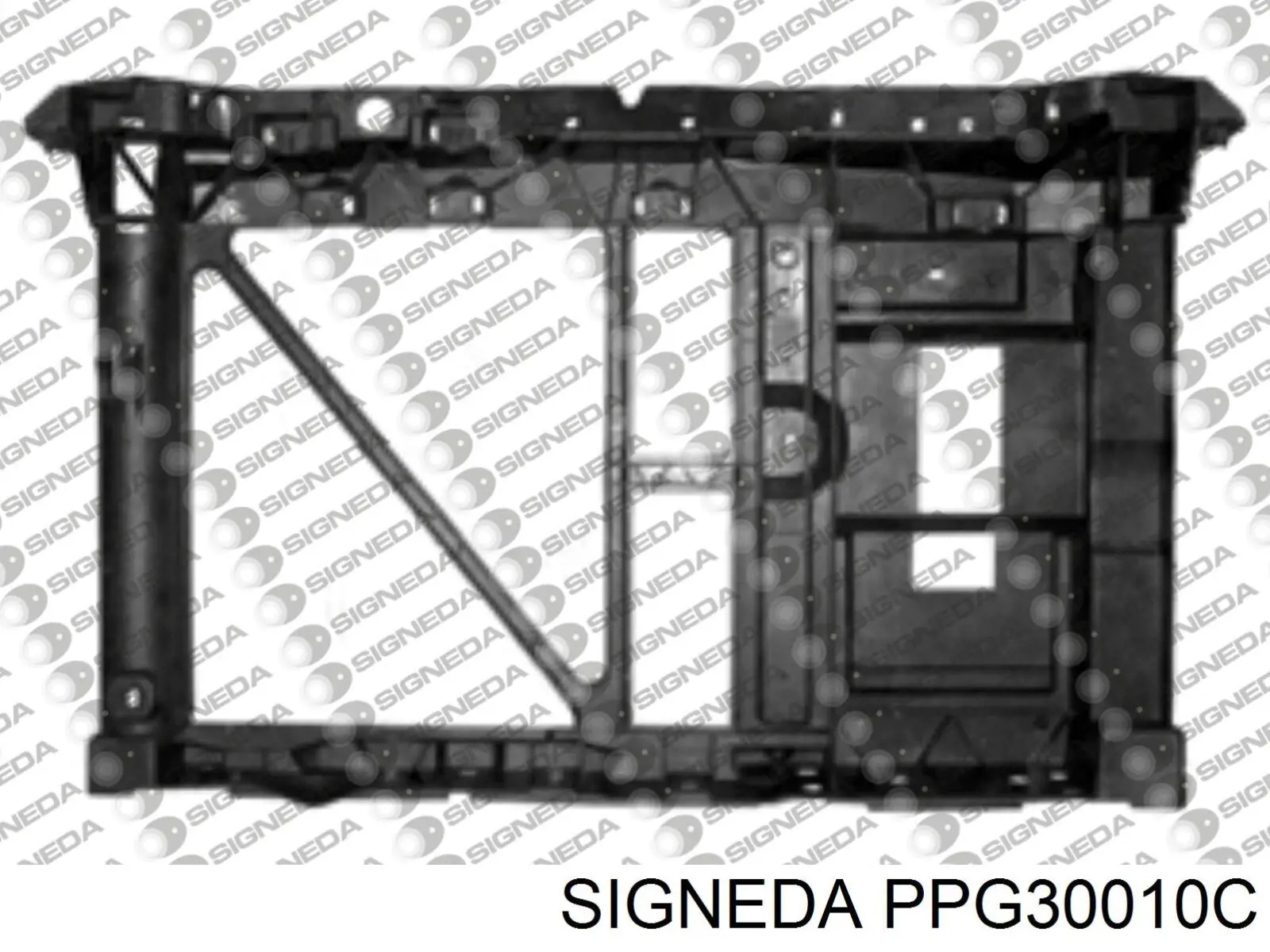 PPG30010C Signeda