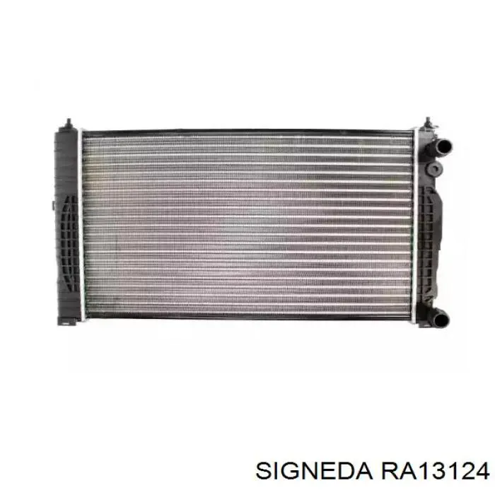 RA13124 Signeda radiador, refrigeración del motor adicional