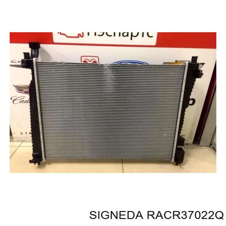 RACR37022Q Signeda radiador
