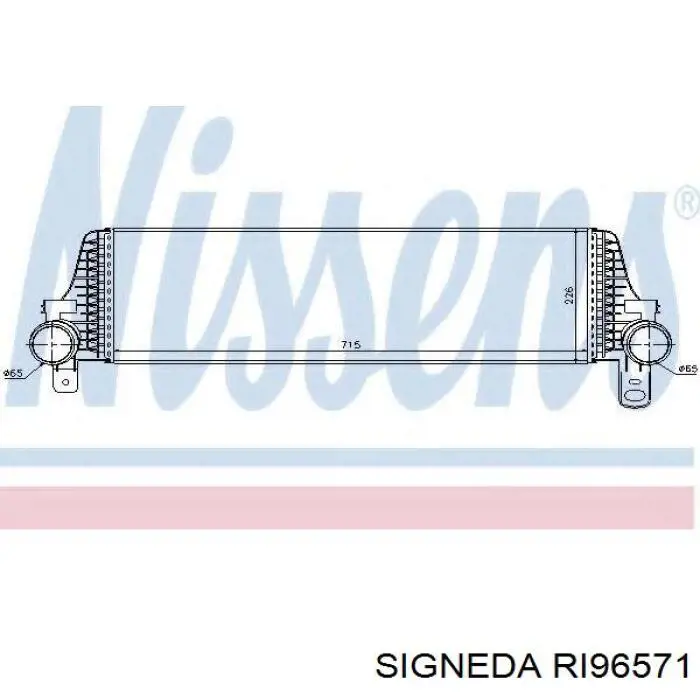 RI96571 Signeda intercooler