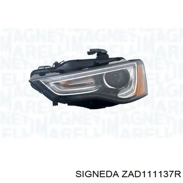 ZAD111137R Signeda