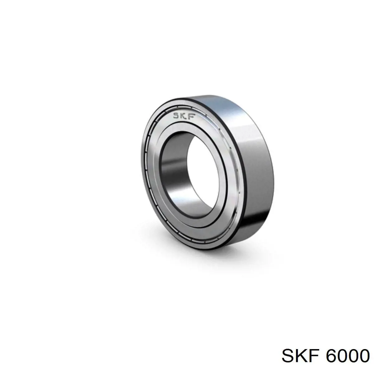 6000 SKF